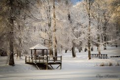 PARK DWORSKI W JEZUPOVA (POL. JÓZEFOWO) I ŚCIEŻKA MARII