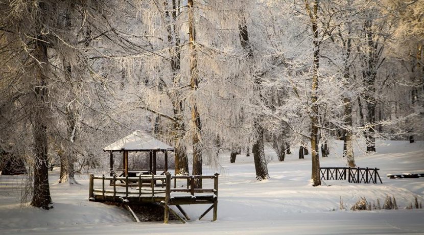 PARK DWORSKI W JEZUPOVA (POL. JÓZEFOWO) I ŚCIEŻKA MARII