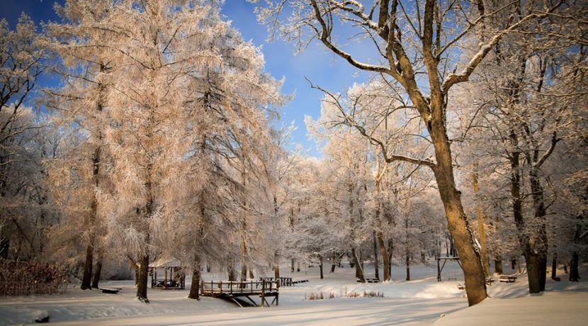 PARK DWORSKI W JEZUPOVA (POL. JÓZEFOWO) I ŚCIEŻKA MARII