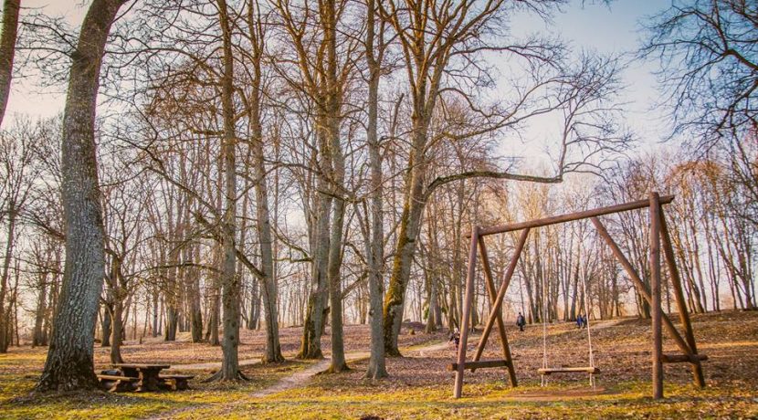 PARK DWORSKI W JEZUPOVA (POL. JÓZEFOWO) I ŚCIEŻKA MARII