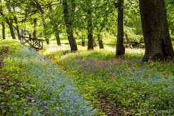 PARK DES LANDGUTS JEZUPOVA (JUZEFOVA) UND SPAZIERWEG VON MARIA