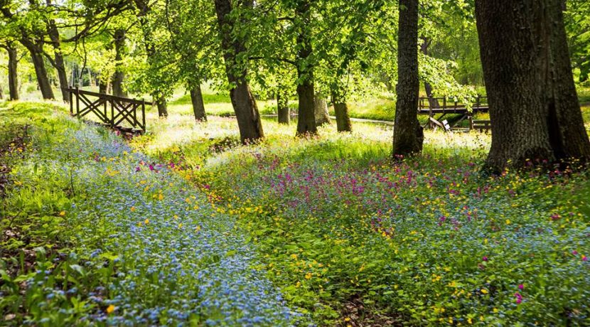 PARK DES LANDGUTS JEZUPOVA (JUZEFOVA) UND SPAZIERWEG VON MARIA