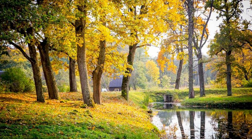 PARK DES LANDGUTS JEZUPOVA (JUZEFOVA) UND SPAZIERWEG VON MARIA