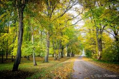 PARK DES LANDGUTS JEZUPOVA (JUZEFOVA) UND SPAZIERWEG VON MARIA