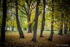 PARK DES LANDGUTS JEZUPOVA (JUZEFOVA) UND SPAZIERWEG VON MARIA