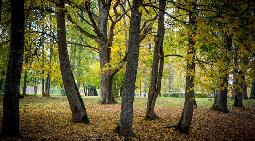 PARK DES LANDGUTS JEZUPOVA (JUZEFOVA) UND SPAZIERWEG VON MARIA