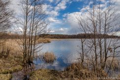 Medumi Park and walking trail