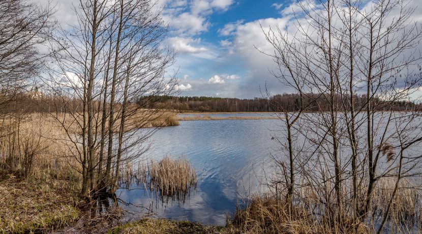 MEDUMŲ PARKAS