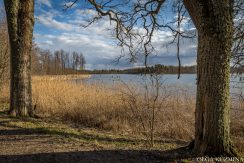 Medumi Park and walking trail