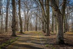 Medumi Park and walking trail