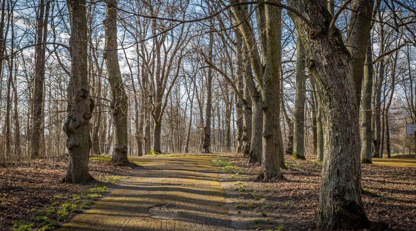 Medumi Park and walking trail