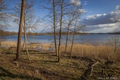 Medumi Park and walking trail