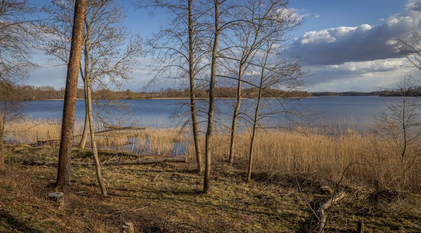 MEDUMŲ PARKAS