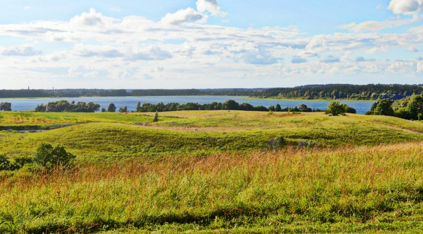 Амбельский парк