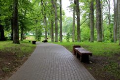 Medumi Park and walking trail