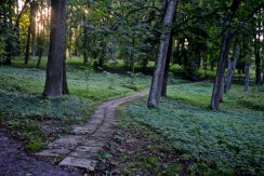 Medumi Park and walking trail