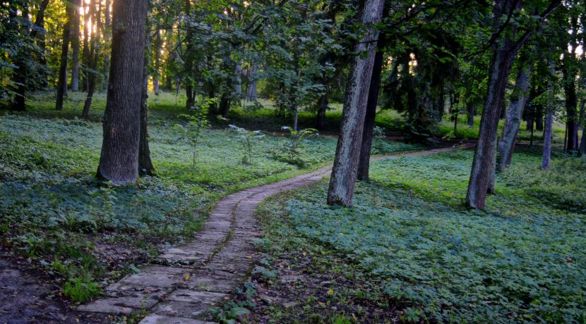 Medumi Park and walking trail