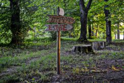 Medumi Park and walking trail