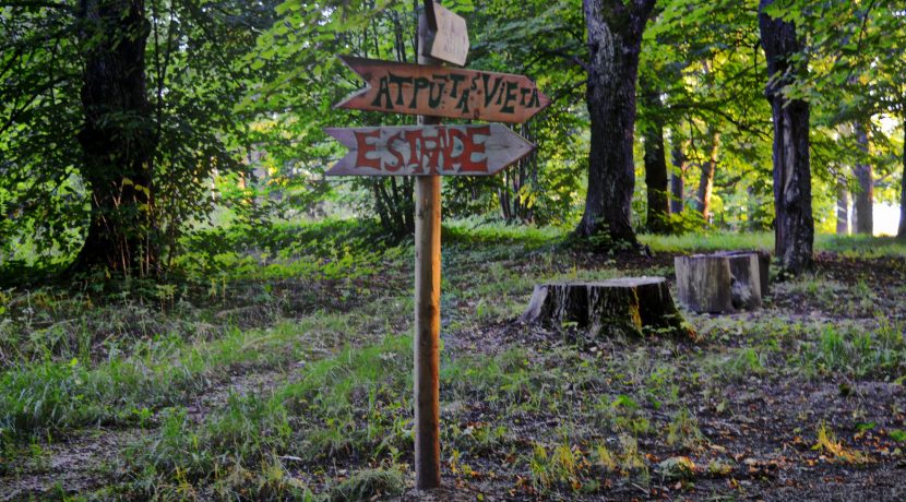 Medumi Park and walking trail