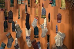 Naujenes novadpētniecības muzejs un Dabas informācijas centrs