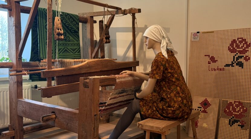 Naujenes novadpētniecības muzejs un Dabas informācijas centrs