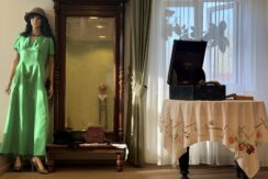 Naujenes novadpētniecības muzejs un Dabas informācijas centrs