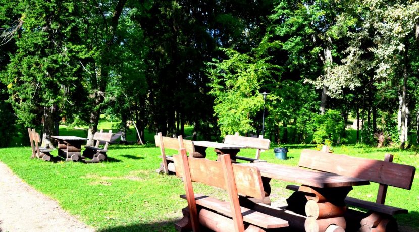 Červonkas (Vecsalienas) muižas pils parks