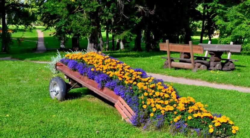 Červonkas (Vecsalienas) muižas pils parks