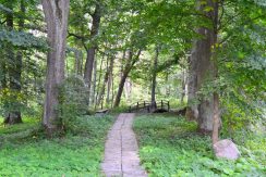 Medumi Park and walking trail