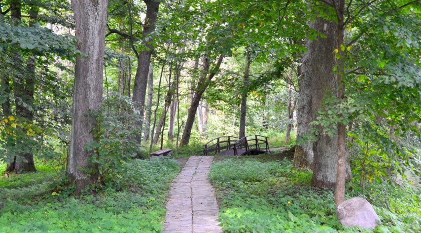 Medumi Park and walking trail