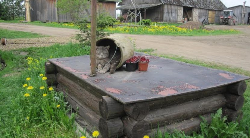 PRYWATNE KOLEKCJA ANTYKÓW „ZEMNIEKA DVĒSELES PRIEKS” (POL. „RADOŚĆ DUSZY ROLNIKA”) GOSPODARSTWA ROLNEGO „EGLES”