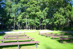 PARK DES LANDGUTS VABOLE