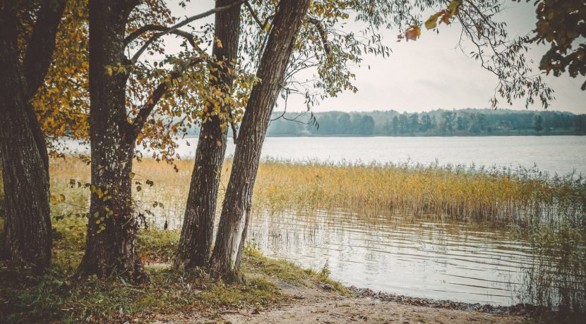 Svente walking trail