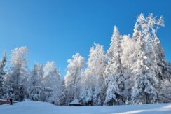 BAZA NARCIARSKA „EGĻUKALNS”