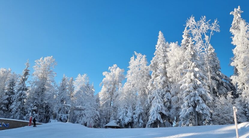 BAZA NARCIARSKA „EGĻUKALNS”
