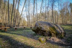 Markova Mound and Cognitive Trail