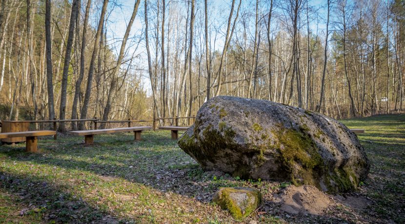 Markova Mound and Cognitive Trail