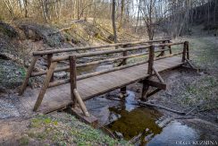 Markova Mound and Cognitive Trail