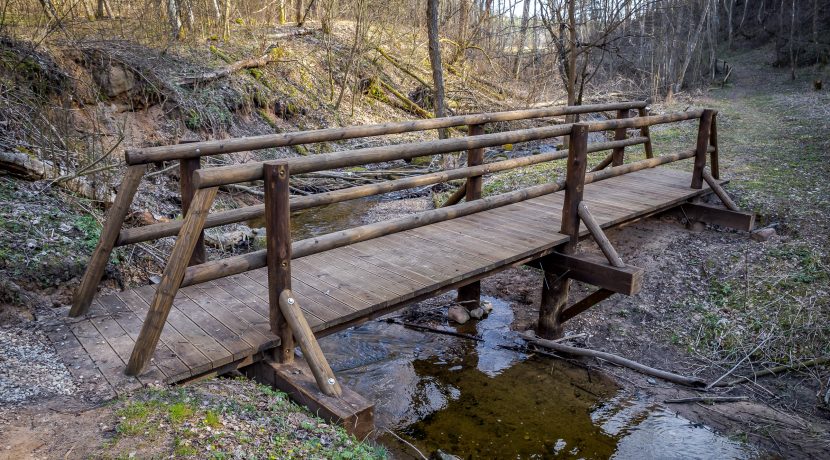 MARKOVOS PILIAKALNIS IR PAŽINTINIS TAKAS