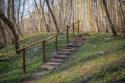 WZGÓRZE ZAMKOWE I ŚCIEŻKA POZNAWCZA MARKOVAS