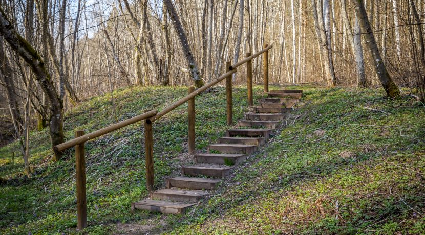 Markova Mound and Cognitive Trail