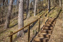 Markova Mound and Cognitive Trail