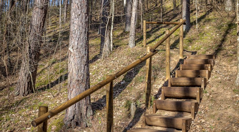 Markova Mound and Cognitive Trail