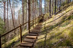 Markova Mound and Cognitive Trail