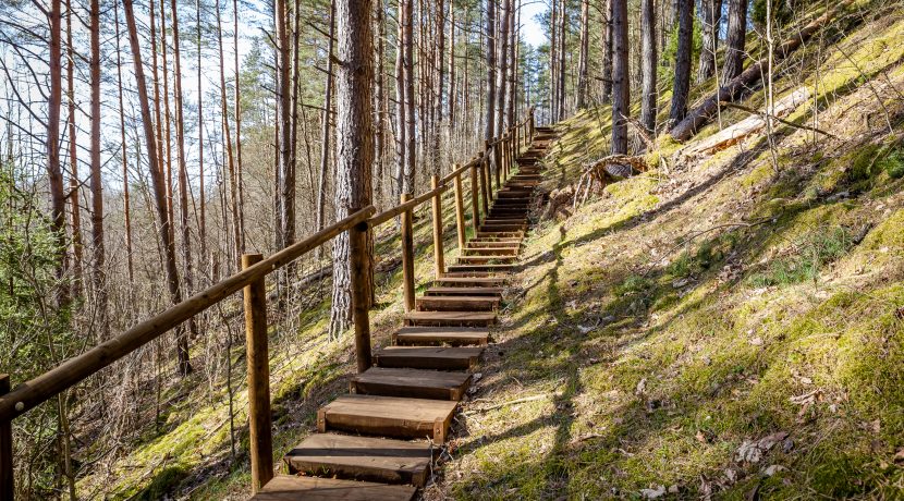 Markova Mound and Cognitive Trail