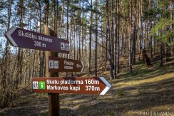 Markova Mound and Cognitive Trail