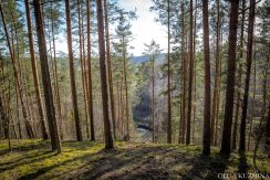 Markova Mound and Cognitive Trail