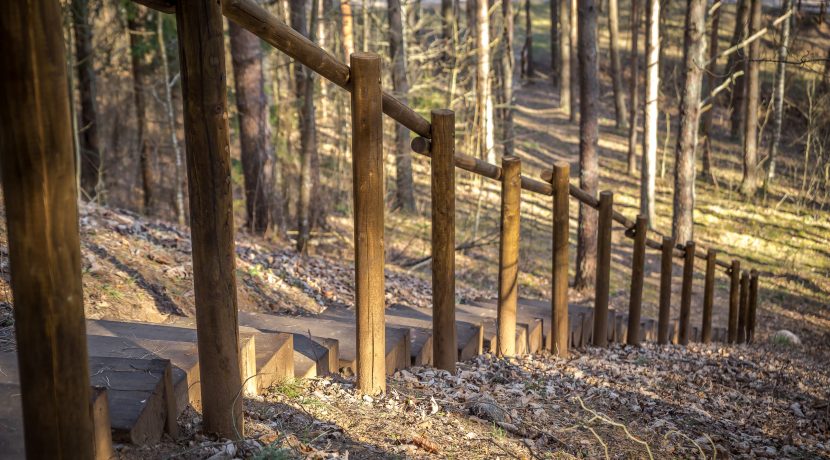 WZGÓRZE ZAMKOWE I ŚCIEŻKA POZNAWCZA MARKOVAS