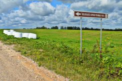 Memorial Place to Victims of Genocide – to the Shot Jews in Viski and Dagda