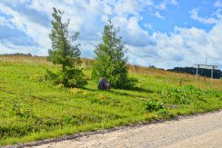 Memorial Place to Victims of Genocide – to the Shot Jews in Viski and Dagda